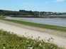 algues vertes sur une plage 